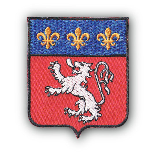 MAXIMUMPATCHES - Ecusson Patch Brodé Thermocollant - Département Région Territoire France - 6,5 cm x 8 cm - Ville De Lyon