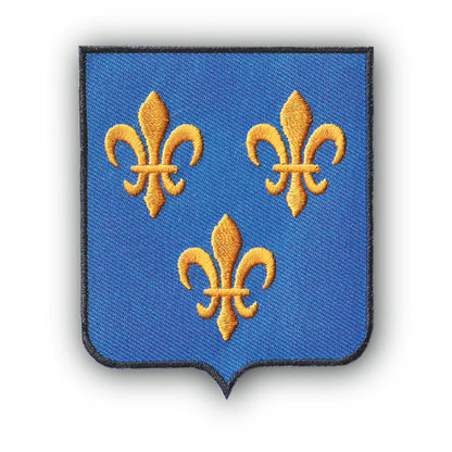 MAXIMUMPATCHES - Ecusson Patch Brodé Thermocollant - Département Région Territoire France - 6,5 cm x 8 cm - Ile De France
