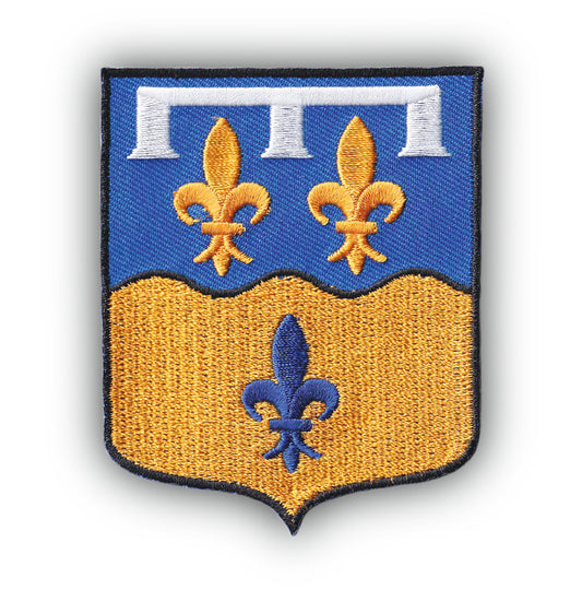 MAXIMUMPATCHES - Ecusson Patch Brodé Thermocollant - Département Région Territoire France - 6,5 cm x 8 cm - 41 Loir Et Cher