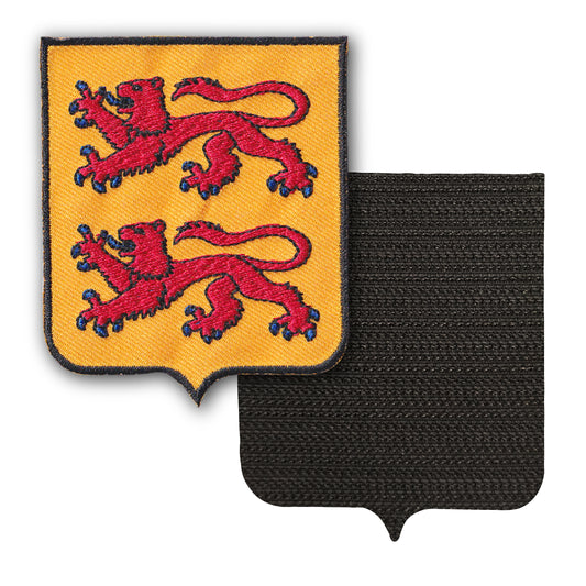 MAXIMUMPATCHES - 65 Hautes Pyrénées - 6,5 cm x 8 cm - Ecusson Patch Brodé Avec Scratch Cousu Au Dos + Carré Scratch A Coudre, Face Opposé 10 cm x 10 cm Offert / Département Région Territoire France